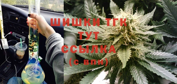 гидра Белоозёрский